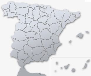 Miembros SECE España